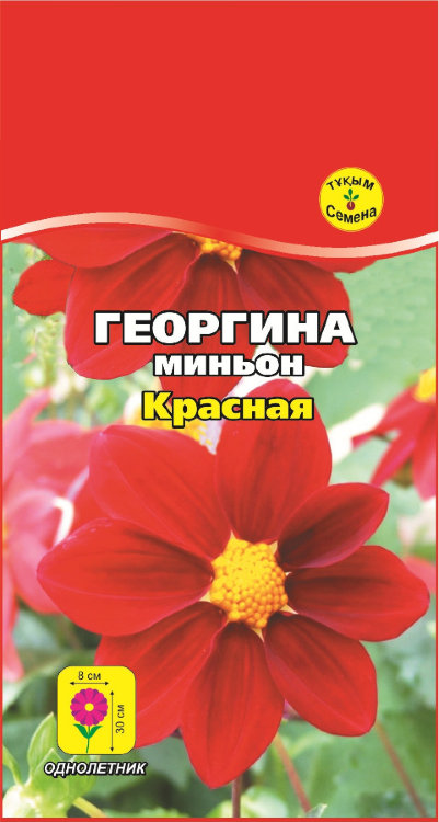 Георгина миньон Красная 0,3 г.