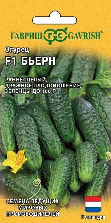 Огурец Бьерн F1 5 шт. (Гавриш)