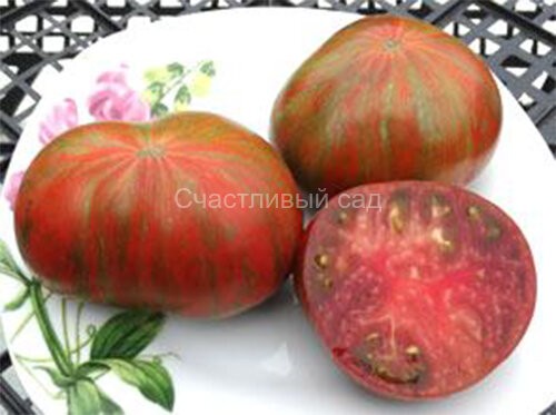 Томат ГНОМ Шоколадная молния 10 шт.