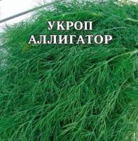 Укроп АЛЛИГАТОР (10 г.)