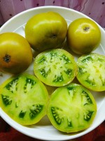 Томат ГНОМ Трилистник 10 шт.