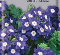Вербена Синяя с глазком, 0,1 г. (Поиск)