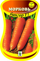 Морковь Бангор F1 (сем. Bejo) 0,5 г.