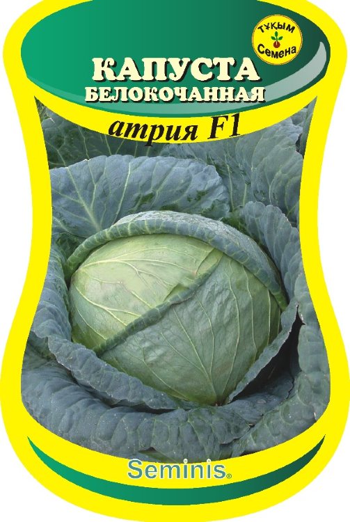 Капуста б/к поздняя Атрия F1 (сем. Seminis) 10 шт.