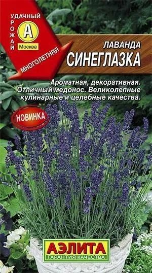 Лаванда Синева (Аэлита)