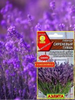 Лаванда Сиреневый туман (Аэлита)