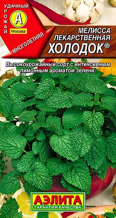Мелисса Холодок (Аэлита)