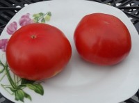 Томат ГНОМ Викторианский 10 шт.