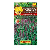Мята мексиканская Янтарная свежесть (Аэлита)