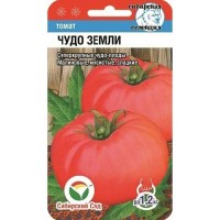 Томат Чудо Земли 20 шт.
