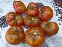 Томат ГНОМ Король Арамис 10 шт.
