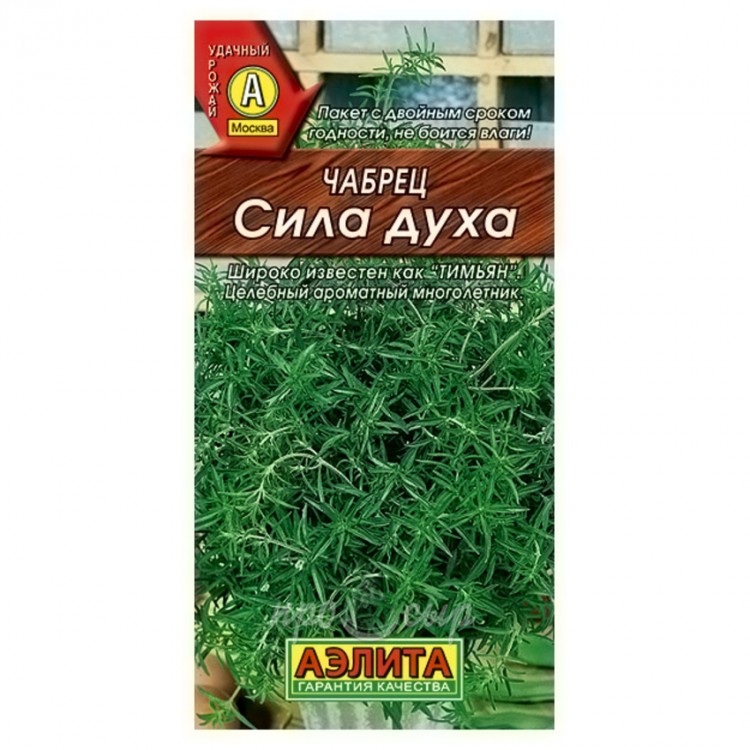 Чабрец Сила духа (Аэлита)