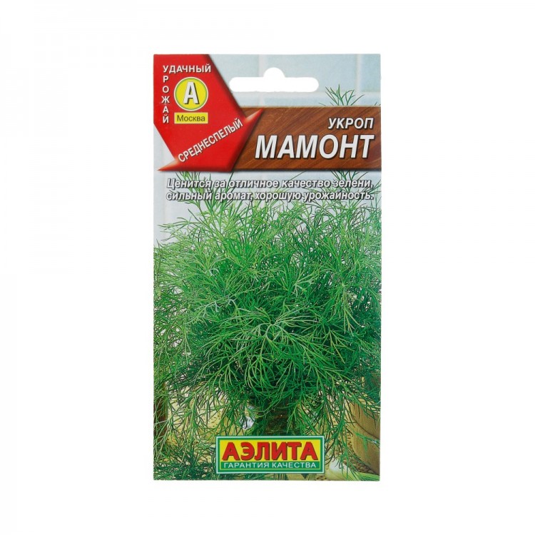 Укроп Мамонт, (Аэлита)