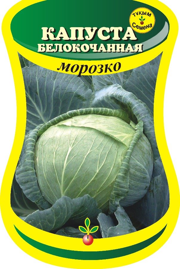 Капуста морозко описание сорта фото отзывы