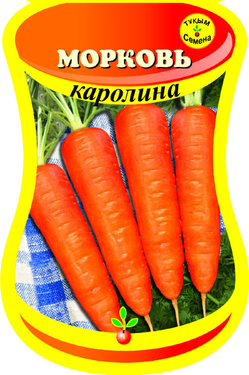 Морковь Каролина (Германия)