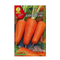Морковь Шантане 2461, 2 г. (Аэлита)