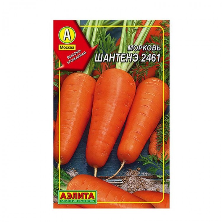 Морковь Шантане 2461, 2 г. (Аэлита)