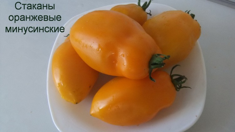 Томат МИНУСИНСКИЕ СТАКАНЫ ОРАНЖЕВЫЕ 10 шт.