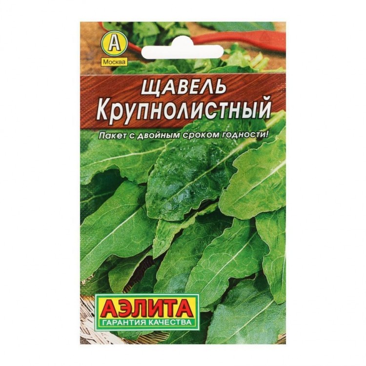 Щавель Крупнолистный, (Аэлита)