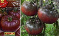 Томат Черный барон (Аэлита)