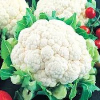 Капуста цветная АЛЬФА (10 г.)