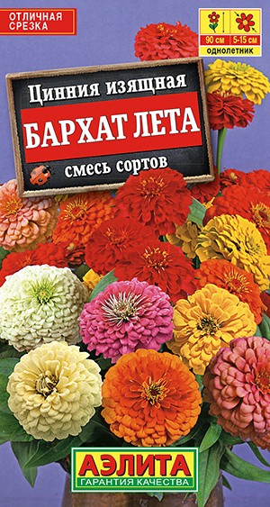 Цинния Бархат лета, (Аэлита)