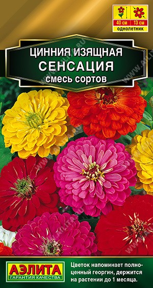 Цинния Сенсация, смесь 12 шт. (Аэлита)