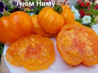 Томат ГНОМ НИМУ 10 шт.