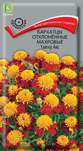 Бархатцы отклоненные ТАЙГЕР АЙС (20 г.)