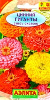 Цинния Гиганты смесь, (Аэлита)