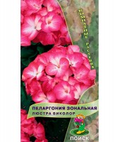 Пеларгония Люстра Биколор, 5 шт.