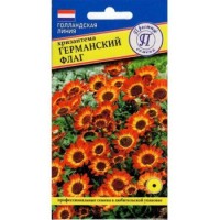 Хризантема Германский флаг, 0,5 г. (Престиж)