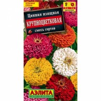 Цинния Крупноцветковая смесь, (Аэлита)