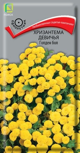 Хризантема девичья Голден Бол, 0,05 г. (Поиск)