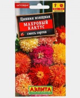 Цинния Махровый кактус, смесь, (Аэлита)