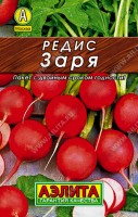 Редис Заря, 2 г. (Аэлита)