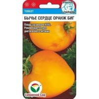 Томат Бычье сердце Оранж Биг 20 шт. (Сиб. сад)