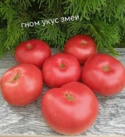 Томат ГНОМ Укус змеи 10 шт.