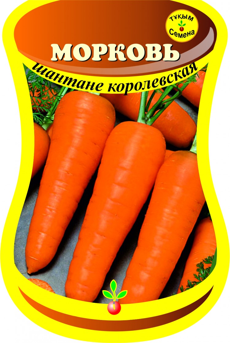 Огурцы шантане. Морковь. Морковка Шантане Королевская. Шантане Королевская отзывы. Морковь Шантане фото