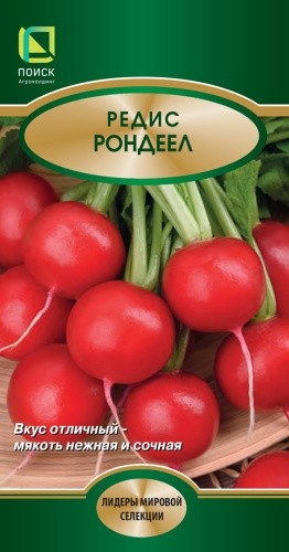 Редис Рондеел, 2 г. (Поиск)