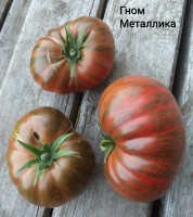 Томат ГНОМ Металлика 10 шт.