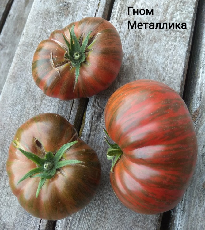 Томат ГНОМ Металлика 10 шт.