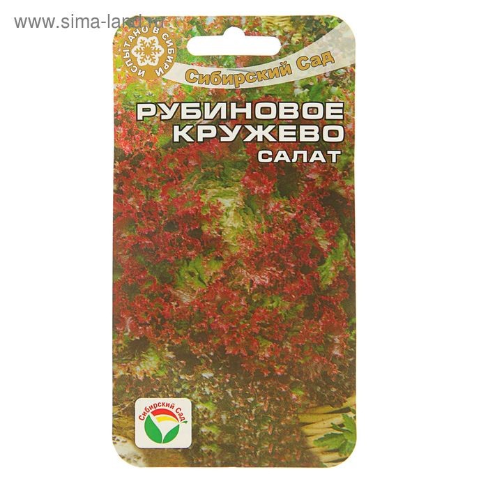 Салат Рубиновое кружево (Сиб. сад)