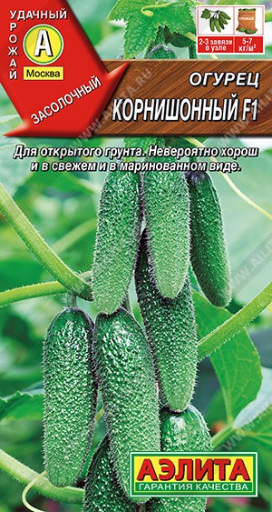 Огурец Корнишонный F1, 10 шт. (Аэлита)