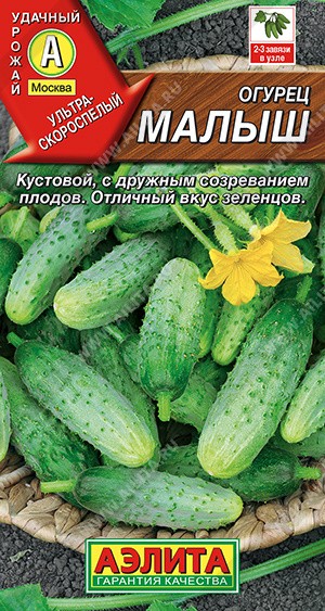 Огурец Малыш, 15 шт. (Аэлита)