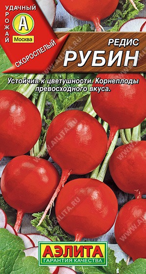 Редис Рубин, 2 г. (Аэлита)