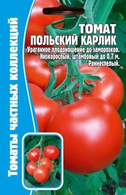 Томат Польский карлик 10 шт. (Ред. сем)