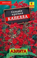 Сальвия красная Капелла, (Аэлита)