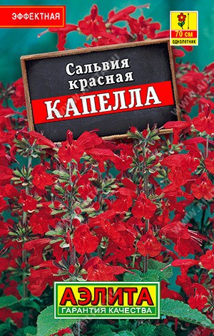 Сальвия красная Капелла, (Аэлита)