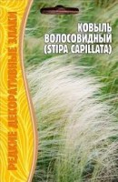 Ковыль Волосовидный, 20 шт. (Ред.сем)